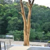 木と階段