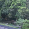 津留川