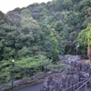 津留川