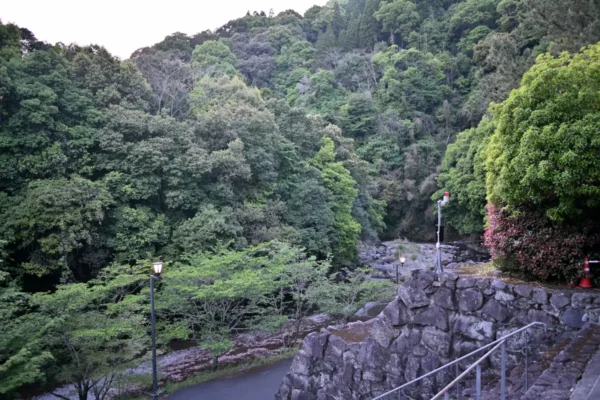 津留川
