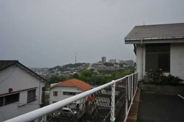 鹿児島市街