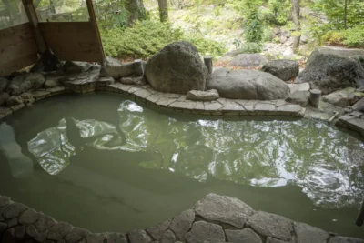 ランキング74位 日帰り温泉 塩原温泉 秘湯の宿 元泉館