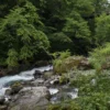 川と吊橋