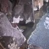温泉センター 諏訪ノ湯