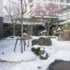 庭園
