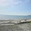 鹿児島湾の海