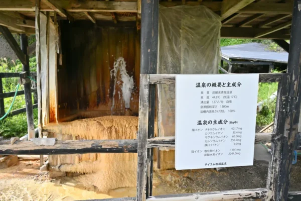 源泉吹き出し口
