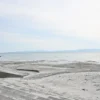 鹿児島湾の海岸