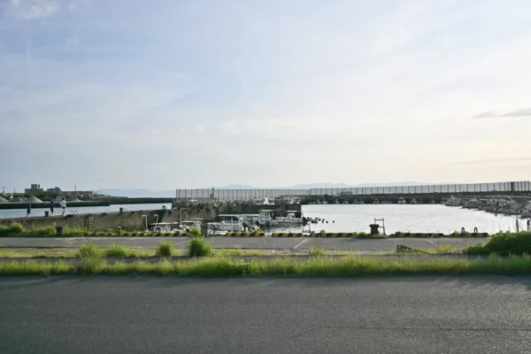 鹿児島湾の海