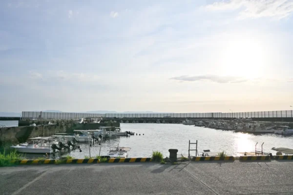 鹿児島湾の海