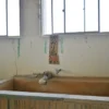 内湯