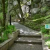 通路