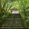 湯泉郷 温泉館 湯招花