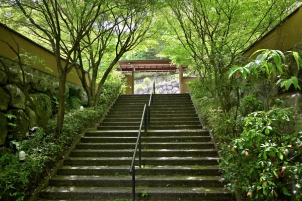 湯泉郷 温泉館 湯招花