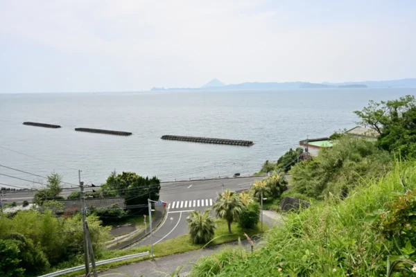 高台、鹿児島湾と開聞岳