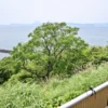 鹿児島湾と開聞岳