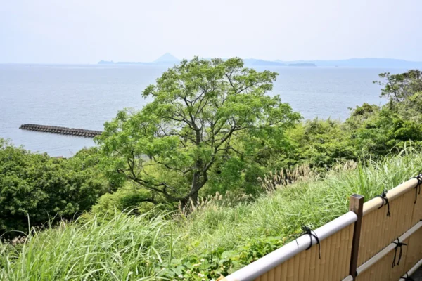 鹿児島湾と開聞岳
