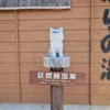 ツン