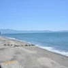 東シナ海