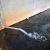 加水