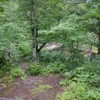 山道