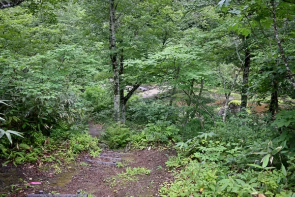 山道