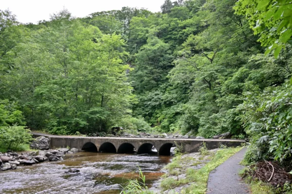 川と橋