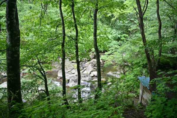 上の湯
