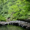 露天風呂 上の湯