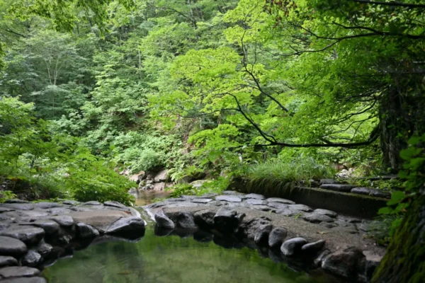露天風呂 上の湯