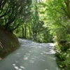 入口道路分岐