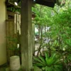 玄関前