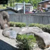 庭、蒸し場
