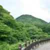 山