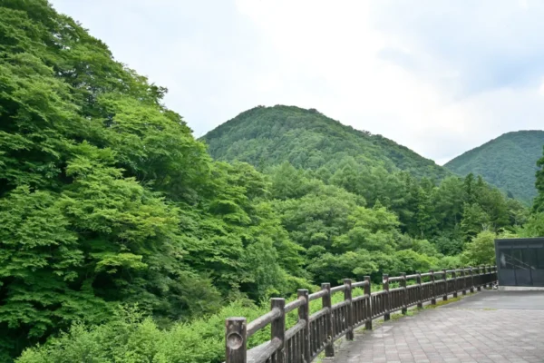 山