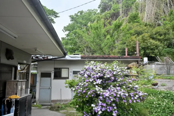 天然温泉 湯乃山