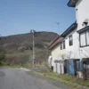 駐車場、裏山